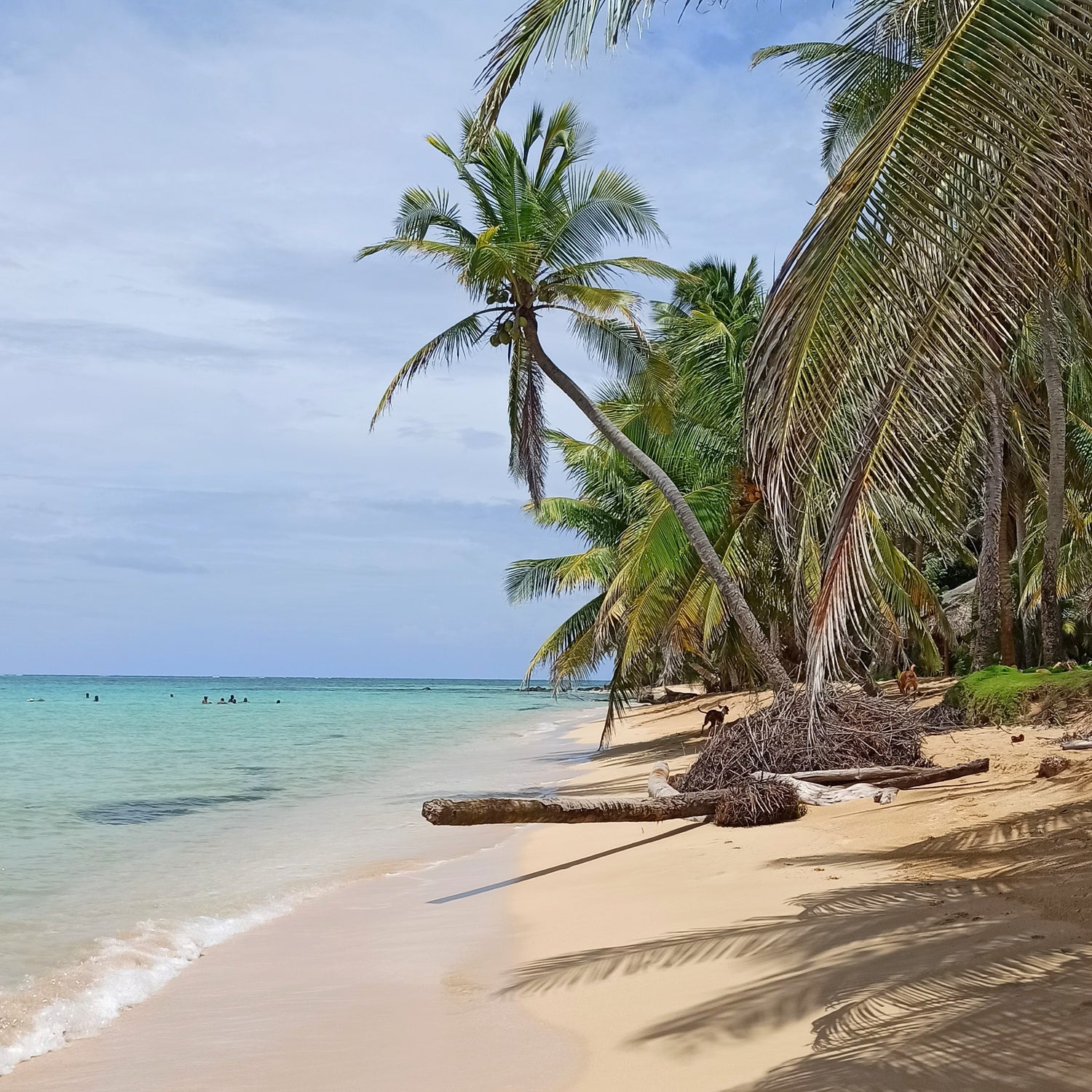 North Beach Little Corn Island, Nicaragua