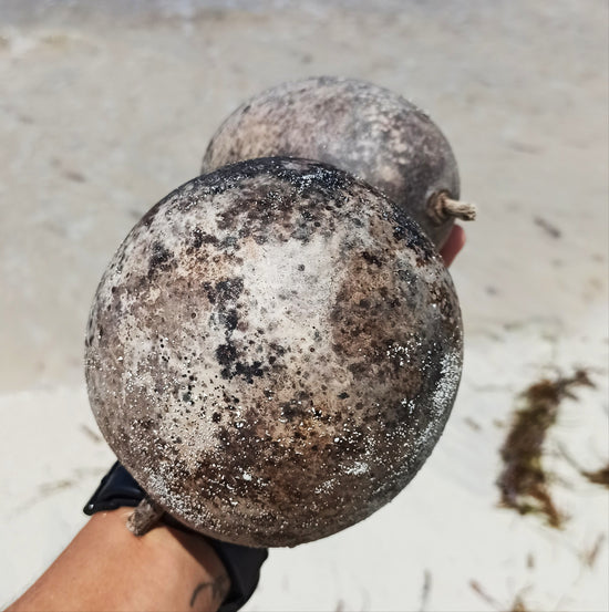 Gourd washed up on a Caribbean Beach, Little Corn Island, Nicaragua, Natural Material, Gourd Jewellery