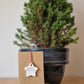 Merry Christmas Clay Star Ornament personalised Keepsake Card, Birthday Card, Eco Friendly Christmas Card