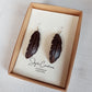 Coconut Shell Feather Earrings 