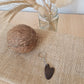 coconut shell Paint Palettes, Jojito Creations